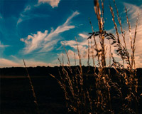 短信免费轰炸网页