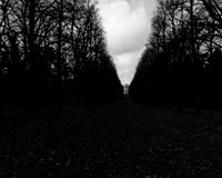 手机号测压网页