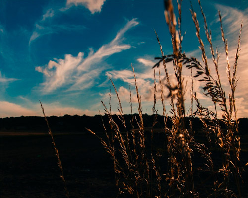 短信免费轰炸网页