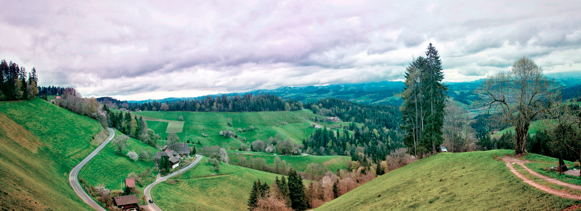 一键分享便捷的手机号轰炸免费在线网站